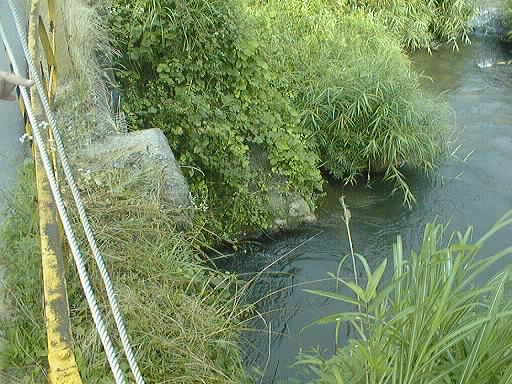河川水利秩序と水資源開発: 近い水対遠い水 | 森瀧 健一郎 |本
