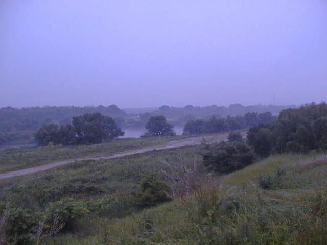 巴川と矢作川の合流点